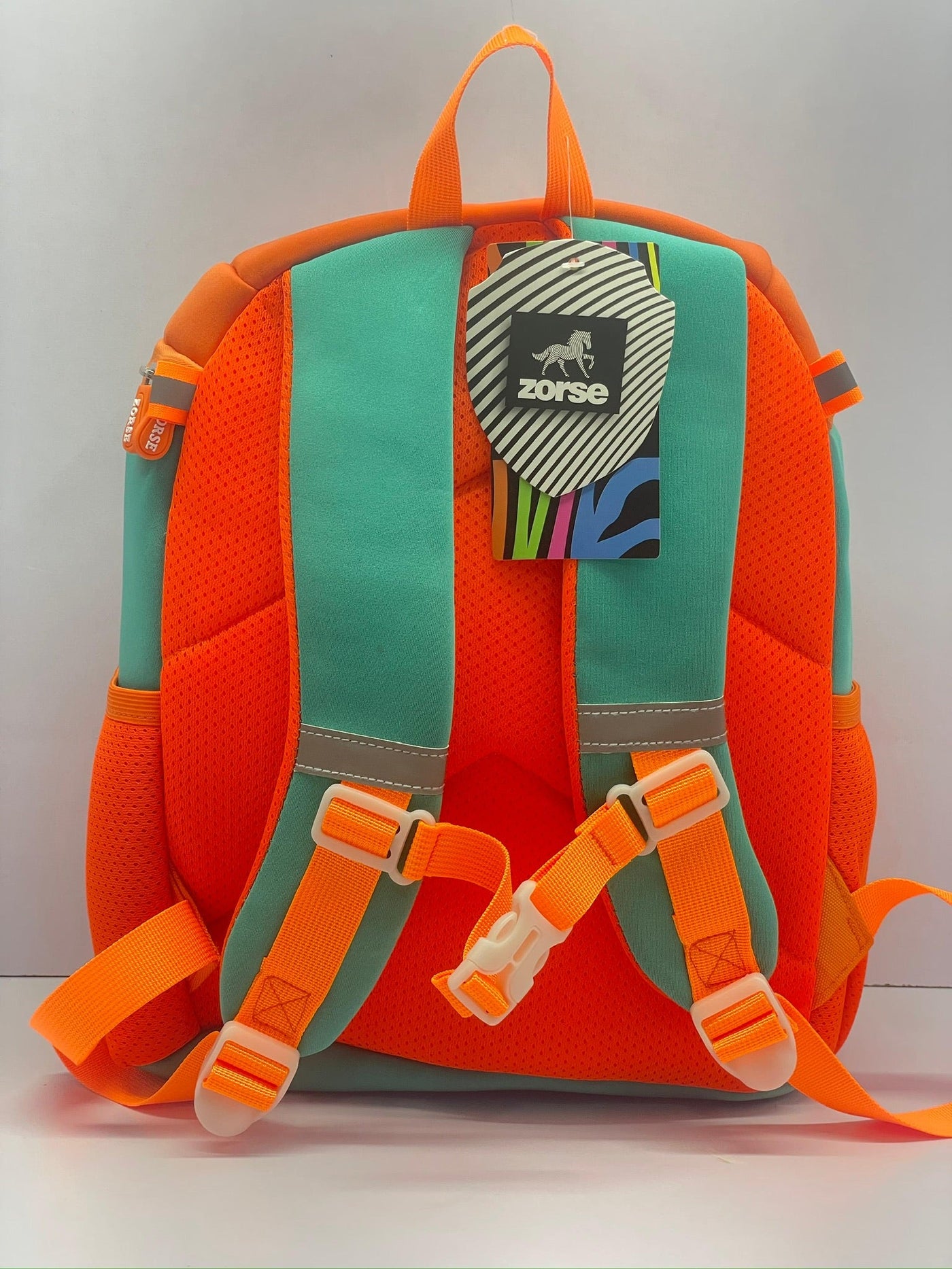 ZORSE Dino Roar school backpack with beautiful range of colours.