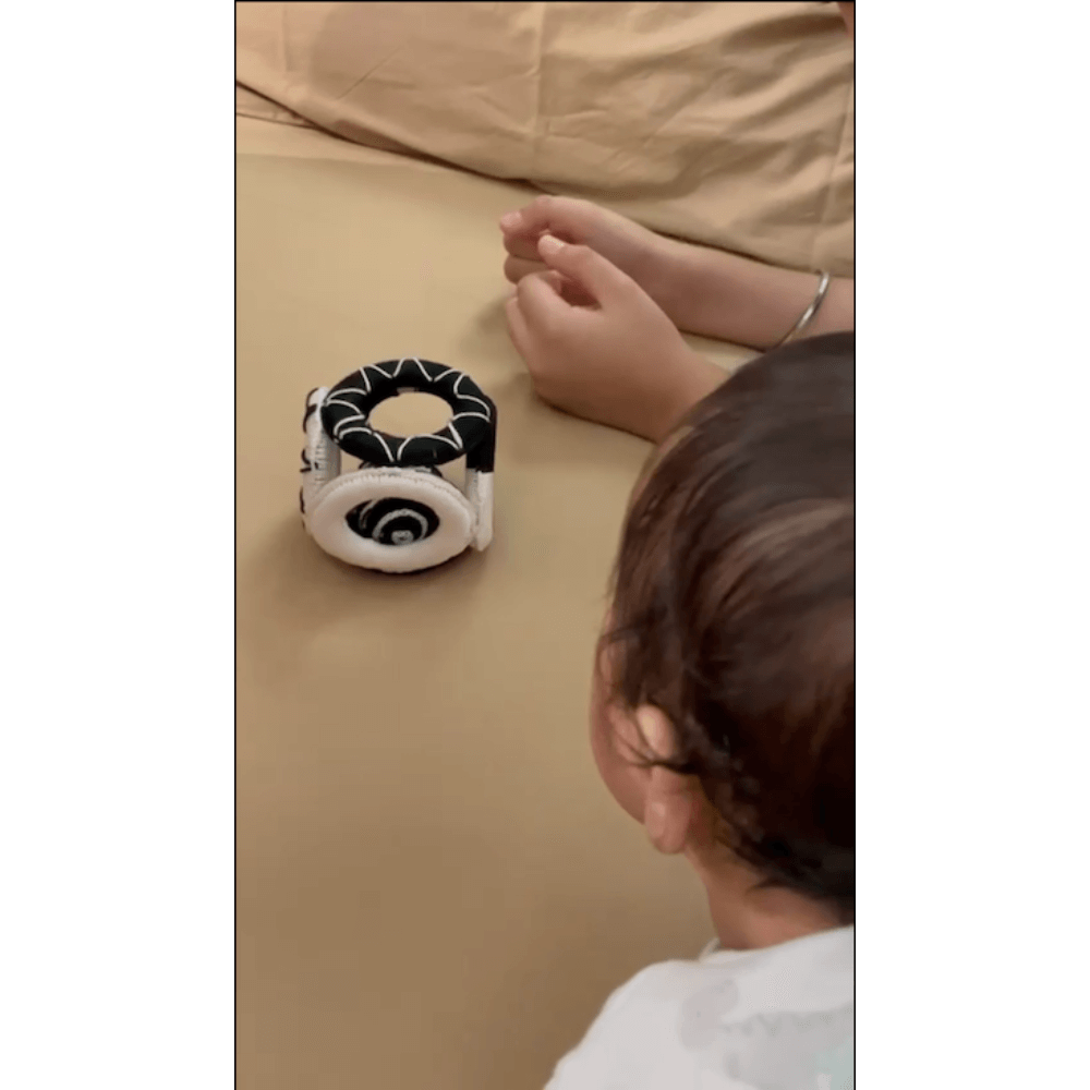 The Play Chapter Grip & Hear Cube Rattle