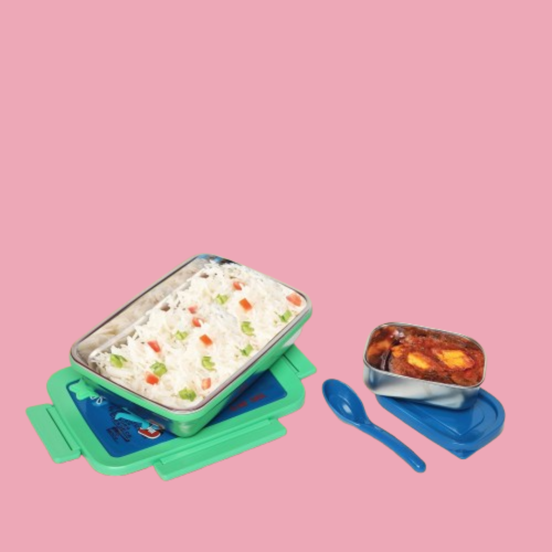 Dino Stainless steel 2 compartment lunch boxes : durable and stylish
